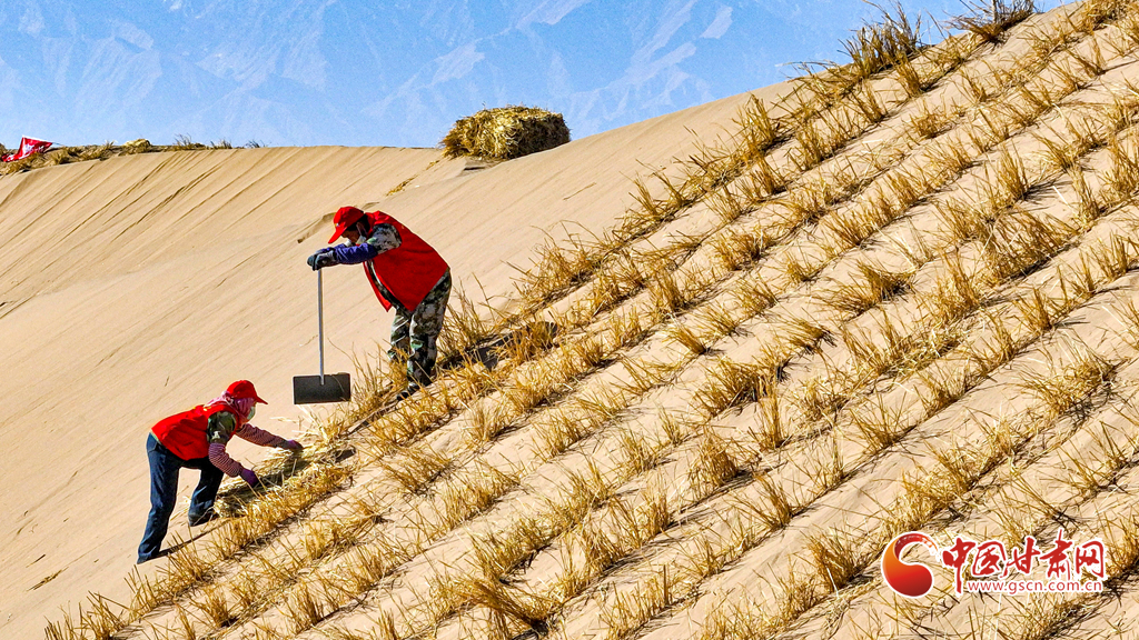 初冬時節(jié)巴丹吉林沙漠忙“鎖邊”