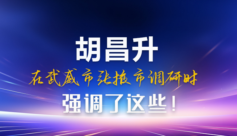 圖解|胡昌升在武威市張掖市調(diào)研時強調(diào)這些!