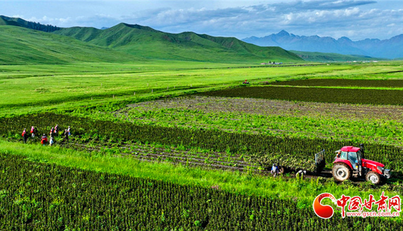 甘肅面向全社會公開征集交旅融合經(jīng)典品牌與精品路線