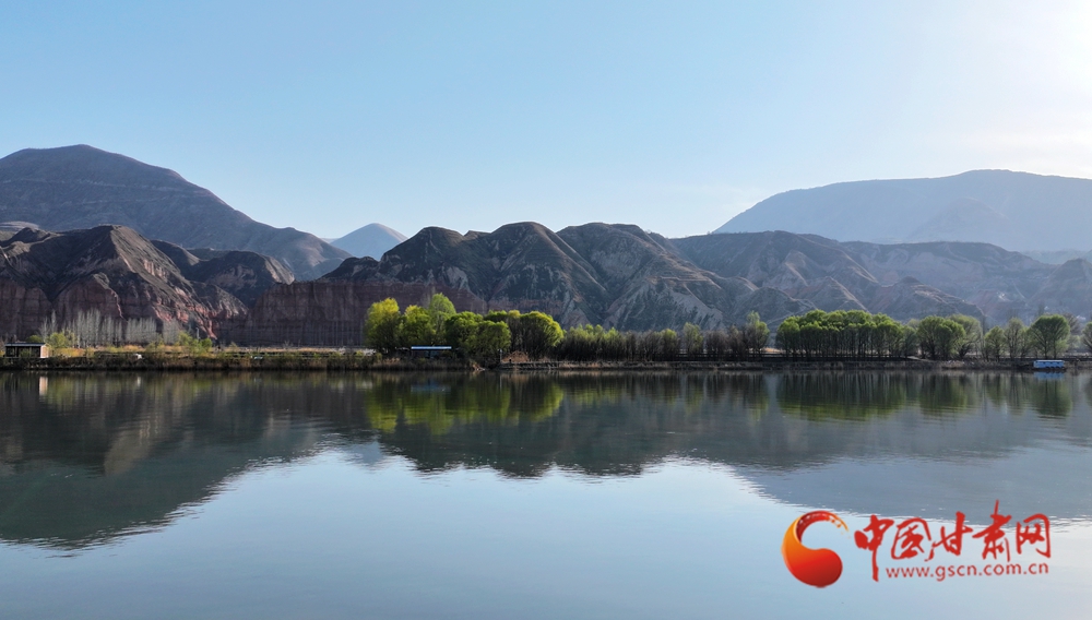 春動(dòng)隴原丨永靖：風(fēng)自黃河來 吹醒岸上花